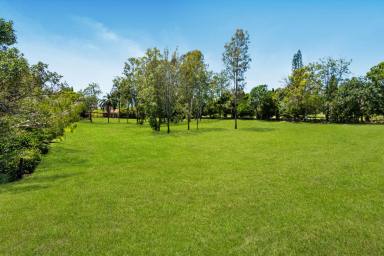 House For Sale - QLD - Samford Valley - 4520 - Create Lifelong Memories with This Idyllic Acreage Home!  (Image 2)