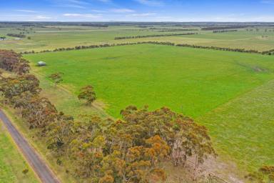 Livestock For Sale - VIC - Mortlake - 3272 - Exceptional Western District Grazing Opportunity  (Image 2)