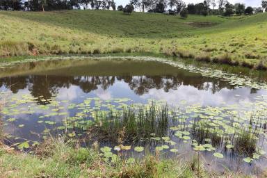 Residential Block For Sale - QLD - Veteran - 4570 - PERFECT VETERAN ACREAGE  (Image 2)