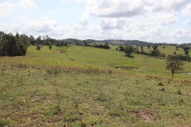 Residential Block For Sale - QLD - Veteran - 4570 - PERFECT VETERAN ACREAGE  (Image 2)