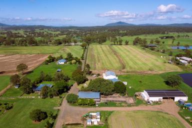 Cropping For Sale - QLD - Allenview - 4285 - IRRIGATED CROPPING OPPORTUNITY  (Image 2)