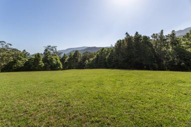 Lifestyle For Sale - NSW - Foxground - 2534 - 'Jindara'  (Image 2)