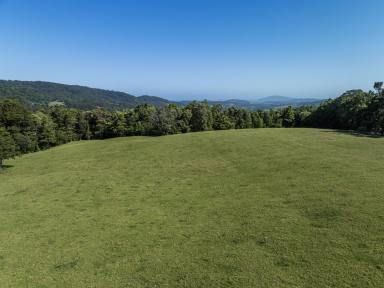 Lifestyle For Sale - NSW - Foxground - 2534 - 'Jindara'  (Image 2)