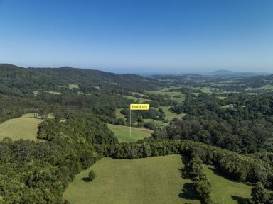 Lifestyle For Sale - NSW - Foxground - 2534 - 'Jindara'  (Image 2)