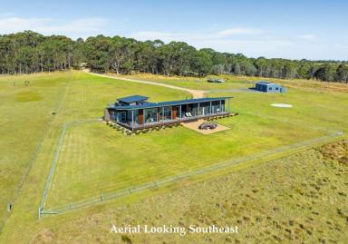 Livestock For Sale - NSW - Mystery Bay - 2546 - Tilba Lake Farm - Stunning Architecturally designed residence overlooking Tilba Tilba Lake and enjoying Panoramic Gulaga Mountain Views  (Image 2)