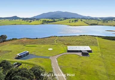 Livestock For Sale - NSW - Mystery Bay - 2546 - Tilba Lake Farm - Stunning Architecturally designed residence overlooking Tilba Tilba Lake and enjoying Panoramic Gulaga Mountain Views  (Image 2)