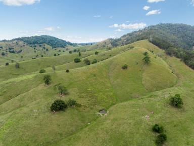 Residential Block For Sale - QLD - Laceys Creek - 4521 - 156-Acres of Prime Grazing Land with Breathtaking Elevated Views  (Image 2)