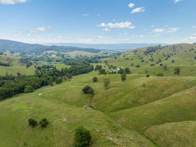 Residential Block For Sale - QLD - Laceys Creek - 4521 - 156-Acres of Prime Grazing Land with Breathtaking Elevated Views  (Image 2)