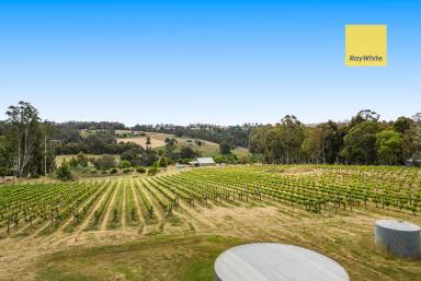 House For Sale - WA - Bridgetown - 6255 - Outstanding country setting, Vineyard, 13 acres  (Image 2)