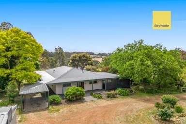 House For Sale - WA - Bridgetown - 6255 - Outstanding country setting, Vineyard, 13 acres  (Image 2)