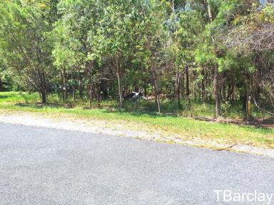 Residential Block For Sale - QLD - Macleay Island - 4184 - Gentle Sloping Block  (Image 2)