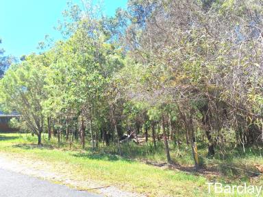 Residential Block For Sale - QLD - Macleay Island - 4184 - Gentle Sloping Block  (Image 2)