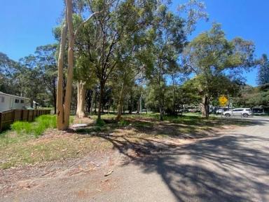 Residential Block For Sale - QLD - Macleay Island - 4184 - Corner block  (Image 2)