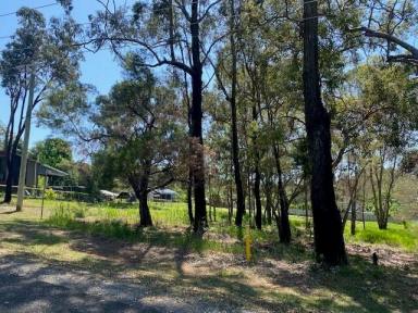 Residential Block For Sale - QLD - Macleay Island - 4184 - Just a "Wedge Away"  (Image 2)