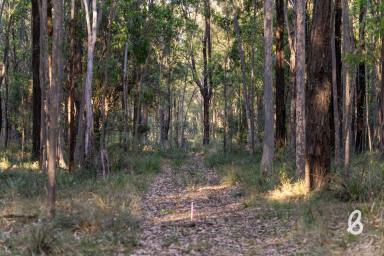 Other (Rural) Sold - NSW - Lower Belford - 2335 - 116 ACRES | RURAL OASIS ON THE DOORSTEP OF THE HUNTERS WINE REGION  (Image 2)