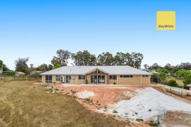 House Sold - WA - Bridgetown - 6255 - Brand new home in ideal location  (Image 2)