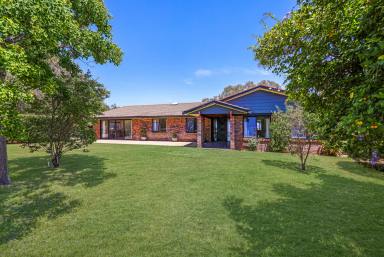 House Sold - NSW - Tamworth - 2340 - Views You'll Never Forget!  (Image 2)