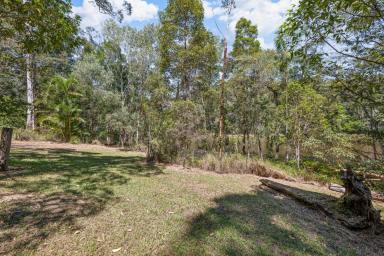 House For Lease - QLD - Lake Macdonald - 4563 - 4-Bed, 2-Bath Low-Set Home in Lake MacDonald  (Image 2)