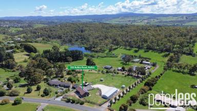 House For Sale - TAS - Relbia - 7258 - Secure Your Slice of Relbia Today!  (Image 2)