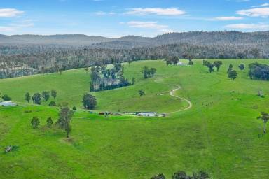 Lifestyle For Sale - VIC - Bete Bolong North - 3888 - 375 Acres With Snowy River Frontage  (Image 2)