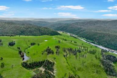 Lifestyle For Sale - VIC - Bete Bolong North - 3888 - 375 Acres With Snowy River Frontage  (Image 2)