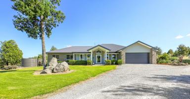 Lifestyle For Sale - NSW - Tamworth - 2340 - WHY NOT HAVE IT ALL?  (Image 2)