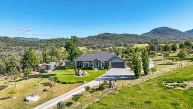 Lifestyle For Sale - NSW - Tamworth - 2340 - WHY NOT HAVE IT ALL?  (Image 2)