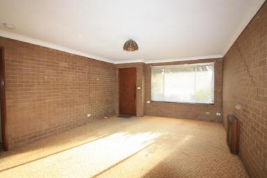 Unit Leased - NSW - Forest Hill - 2651 - FANTASTIC FOREST HILL  (Image 2)