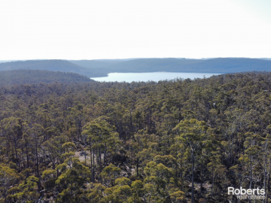 House For Sale - TAS - Interlaken - 7030 - Ultimate Bush Retreat for Hunters and Fishermen!  (Image 2)