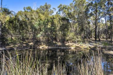Residential Block For Sale - TAS - Forcett - 7173 - 4 Acres of Opportunity in Forcett  (Image 2)