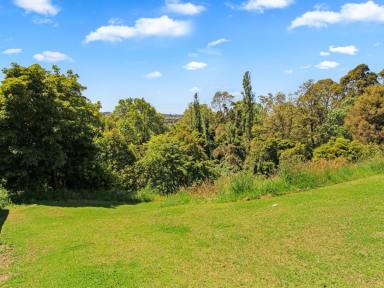 Residential Block For Sale - VIC - Bairnsdale - 3875 - SPECTACULAR VIEW, CLOSE TO THE CENTRE OF TOWN AND ON THE MITCHELL RIVER  (Image 2)