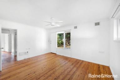 House For Lease - NSW - Nowra - 2541 - Affordable Four Bedroom Cottage  (Image 2)