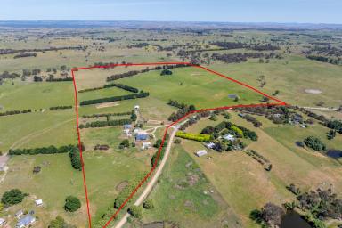 Farmlet Auction - NSW - Crookwell - 2583 - Redground at Wheeo  (Image 2)