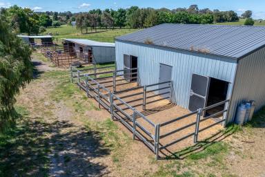 Farmlet Auction - NSW - Crookwell - 2583 - Redground at Wheeo  (Image 2)