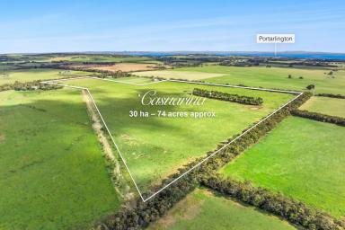 Other (Rural) For Sale - VIC - St Leonards - 3223 - Prime Rural Offering on The Beautiful Bellarine  (Image 2)