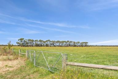 Other (Rural) For Sale - VIC - St Leonards - 3223 - Prime Rural Offering on The Beautiful Bellarine  (Image 2)