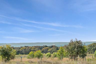 Other (Rural) For Sale - VIC - St Leonards - 3223 - Prime Rural Offering on The Beautiful Bellarine  (Image 2)