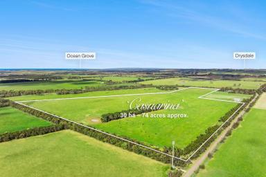 Other (Rural) For Sale - VIC - St Leonards - 3223 - Prime Rural Offering on The Beautiful Bellarine  (Image 2)