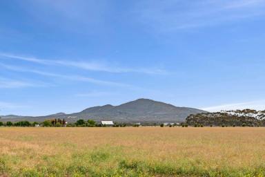 Other (Rural) For Sale - VIC - Lara - 3212 - Farming Zone Acreage Close to Lara West PSP  (Image 2)