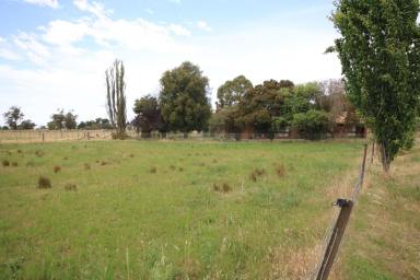 Lifestyle For Sale - VIC - Bamawm - 3561 - ENJOY THE DREAM OF A GREAT COUNTRY LIFESTYLE ON 7 ACRES  (Image 2)