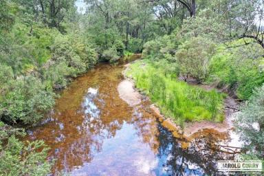 Residential Block For Sale - NSW - Tenterfield - 2372 - Powered Cataract River Frontage.....  (Image 2)