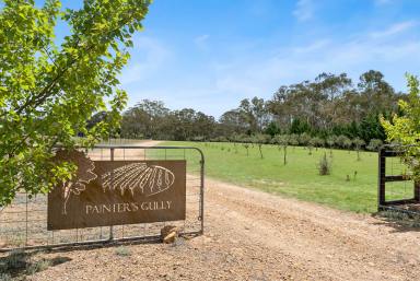 Mixed Farming For Sale - NSW - Collector - 2581 - "Painters Gully" Paradise  (Image 2)