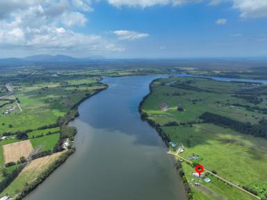 Acreage/Semi-rural For Sale - NSW - Mitchells Island - 2430 - Absolute Waterfront Residence on the Manning River  (Image 2)