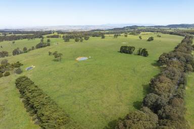 Livestock For Sale - VIC - Creightons Creek - 3666 - "Eaglewood Park" - 800 Acres* of High Rainfall Grazing  (Image 2)