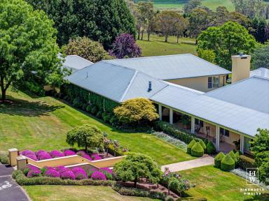 Lifestyle For Sale - NSW - Moss Vale - 2577 - Impressive Lifestyle Estate  (Image 2)