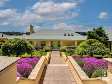 Lifestyle For Sale - NSW - Moss Vale - 2577 - Impressive Lifestyle Estate  (Image 2)