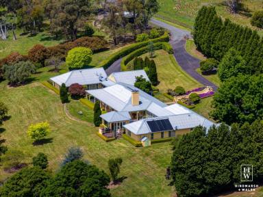 Lifestyle For Sale - NSW - Moss Vale - 2577 - Impressive Lifestyle Estate  (Image 2)