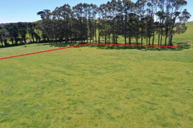 Residential Block For Sale - TAS - Irishtown - 7330 - Build Your Dream Home in Irishtown!  (Image 2)