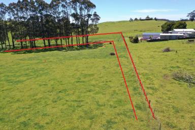 Residential Block For Sale - TAS - Irishtown - 7330 - Build Your Dream Home in Irishtown!  (Image 2)