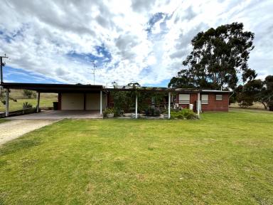 House For Sale - SA - Naracoorte - 5271 - Low Entry Point Rural Living - Fabulous Opportunity 4.26Acres  (Image 2)